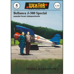 Bellanca J - 300 „Special“ –  Lenkijos reidinis lėktuvas