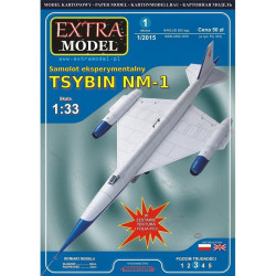 Cybin NM-1 – TSRS eksperimentinis lėktuvas