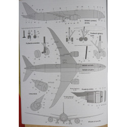 Boeing 787-10 „Dreamliner“ – the American/ United Arab Emirates passenger liner