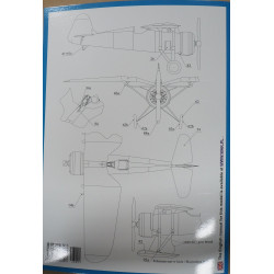 IAR (PZL) P.11F - польский/ румынский истребитель