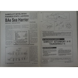 BAe "Sea Harrier" - Didžiosios Britanijos deninis naikintuvas