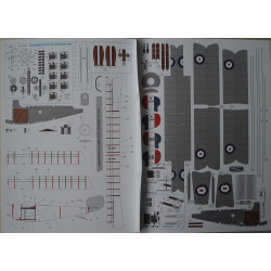Nieuport "Triplane" - the French fighter