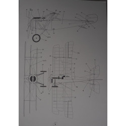 Nieuport "Triplane" - the French fighter