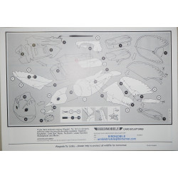 Горная трясогузка (Motacilla cinerea)