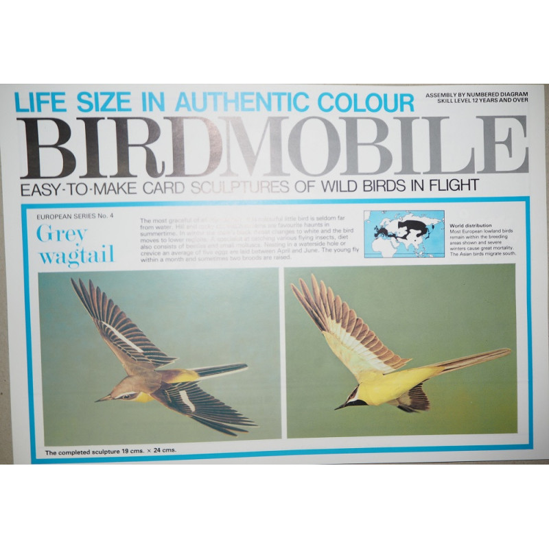 Горная трясогузка (Motacilla cinerea)