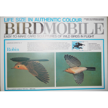 European robin (Erithacus rubecela)