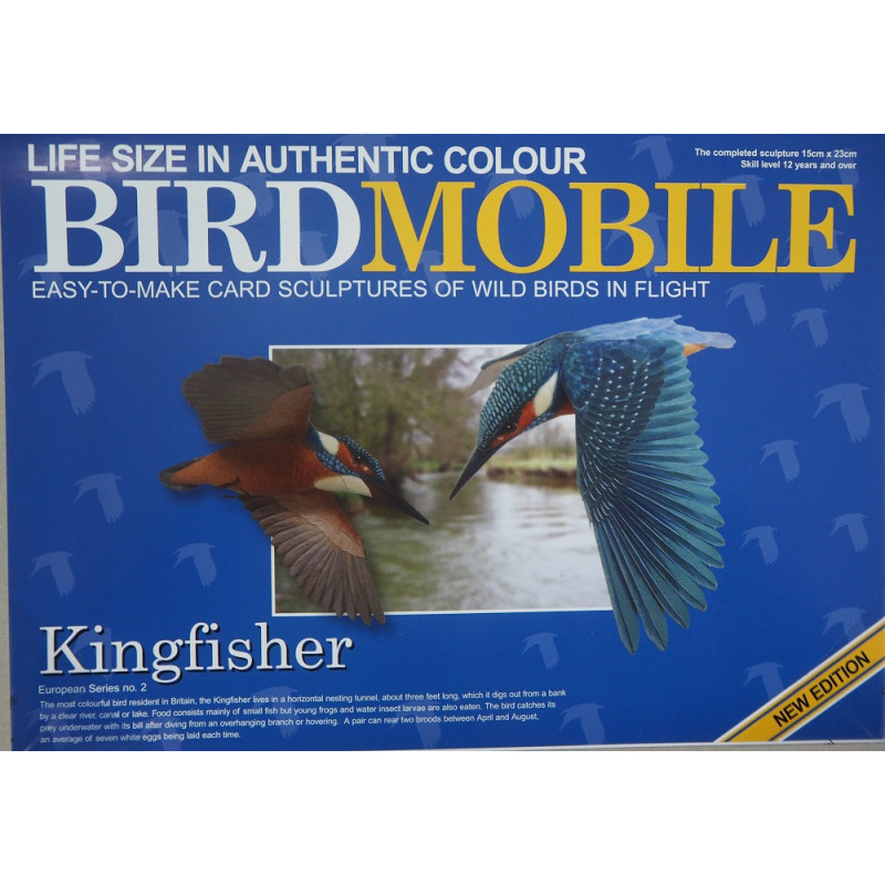 Обыкновенный зимородок (Alcedo atthis)