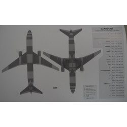 Boeing 767 – 300 ER – the US/ Polish passenger airliner (offset)