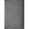 TS-16 RD «Grot» — польский учебно-тренировочный истребитель-штурмовик — прототип (офсет)