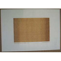 Гофрированный лист 10 x 15 см