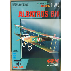 „Albatros“ B. II – Vokietijos/ Lenkijos žvalgybinis lėktuvas