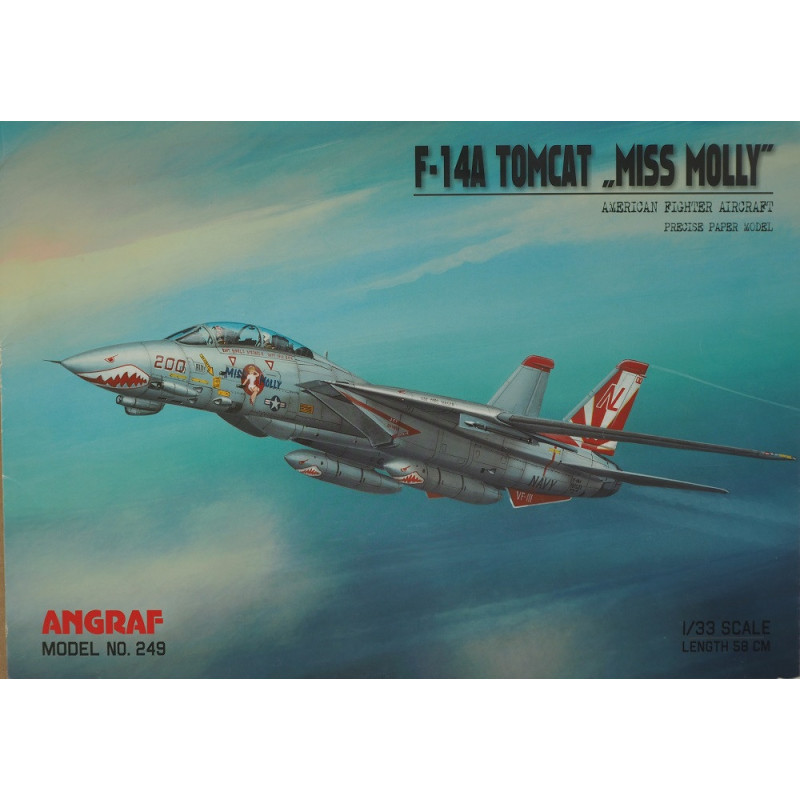 Grumman F-14A "Tomcat" "Miss Molly" – the US heavy carrier-based fighter