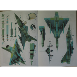 „Mirage 2000C“ – „Sirenes Et Cigognes“ – Prancūzijos naikintuvas