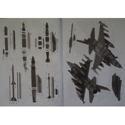 F-16C «Block 52+» «Tiger Demo Team 2025» – американский/ польский истребитель