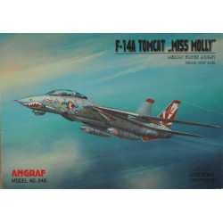 Grumman F-14A «Tomcat» «Miss Molly» — американский тяжёлый палубный истребитель – набор