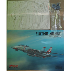Grumman F-14A „Tomcat“ „Miss Molly“ – JAV sunkusis deninis naikintuvas – rinkinys