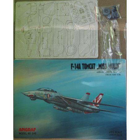 Grumman F-14A „Tomcat“ „Miss Molly“ – JAV sunkusis deninis naikintuvas – rinkinys