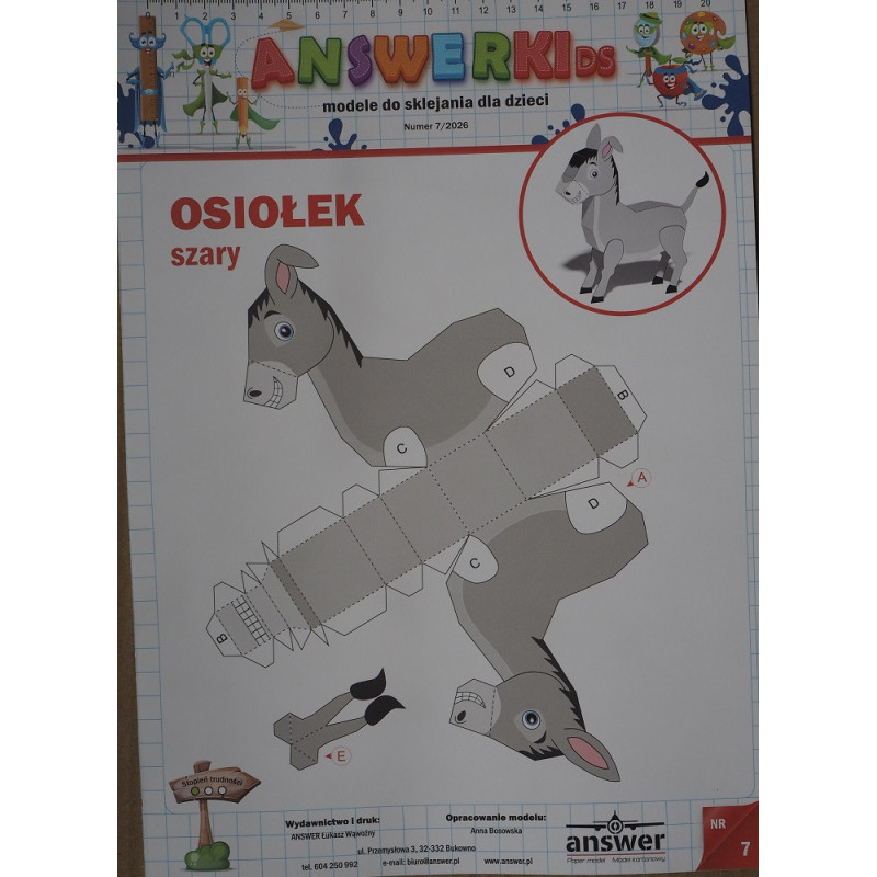 Donkey (gray) - animal