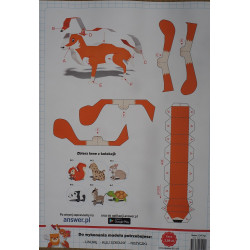 A Fox - animal