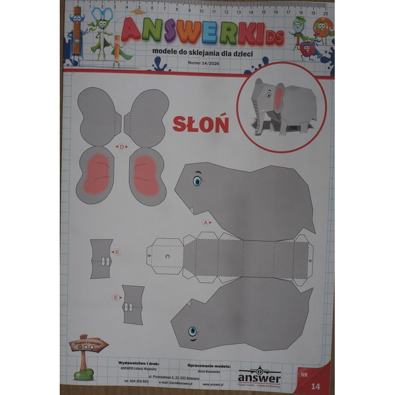 An Elephant - animal