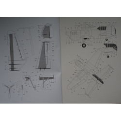 Arsenal Delanne 10C.1 – Prancūzijos naikintuvas - prototipas