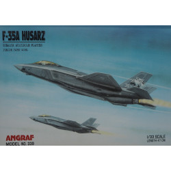 Lockheed Martin F-35A "Husarz" - the US / Polish multi-role fighter