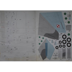 „Mig-29“ – TSRS/ Rusijos/ Lenkijos naikintuvas