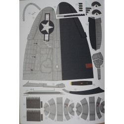 Republic P-47M "Thunderbolt" (pilot Capt. Gladych) – the US fighter