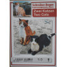 Two cats – the animal figurines