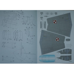 TS - 11 „Iskra“ bis DF – Lenkijos mokomasis – treniruočių lėktuvas