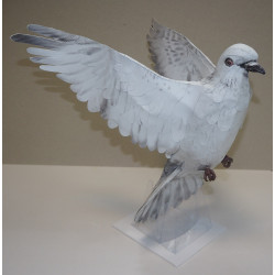 The flying dove - figurine