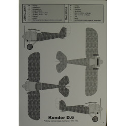 "Kondor" D.6 – the German fighter - prototype