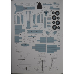 JAS 39 „Gripen“ – Švedijos naikintuvas – atakos lėktuvas
