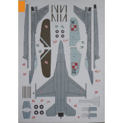 F-16C “Jastrzab” and “P. 11c "- the fighters of Polish AF