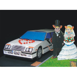 White limousine "Newlyweds"